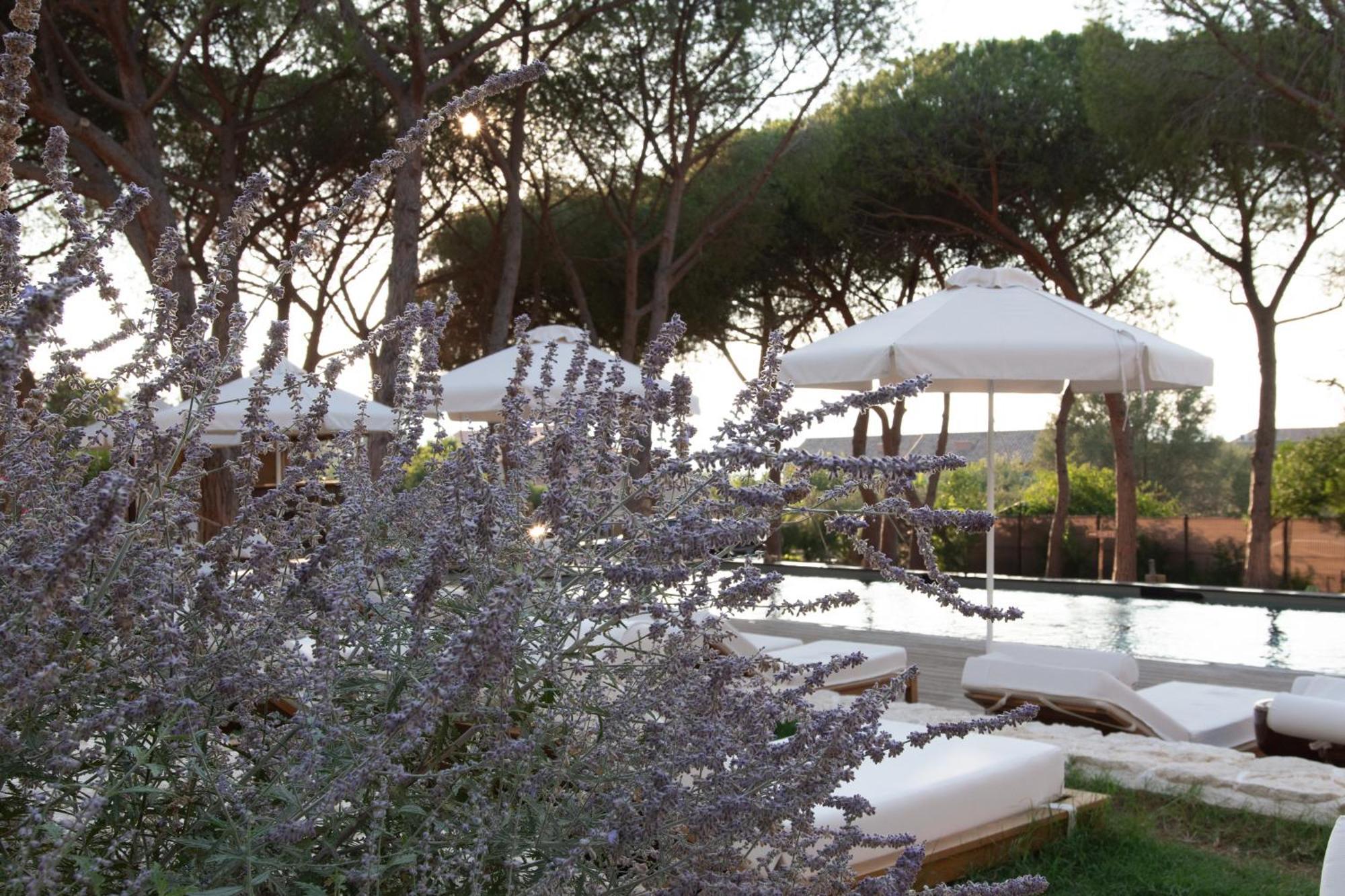 Boutique Hotel Responsable Et Restaurant Basgi Basgi Saint-Florent  Esterno foto